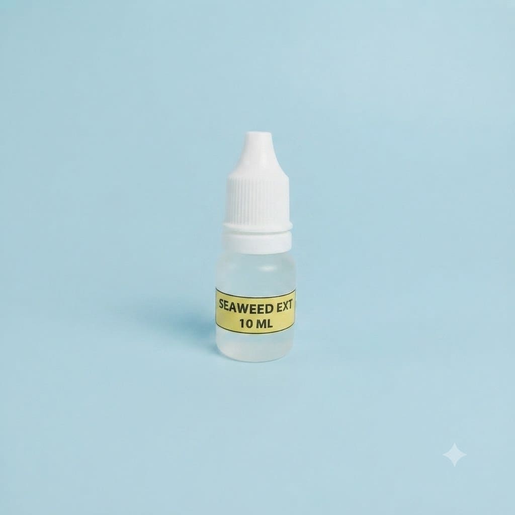 Seaweed Extract / Ekstrak Rumput Laut | Humektan dan Antioksidan Kosmetik